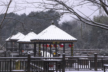 雪景
