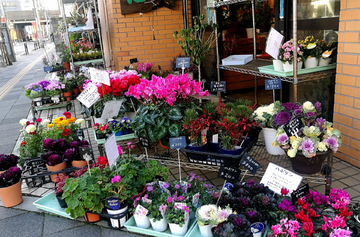 街边花店