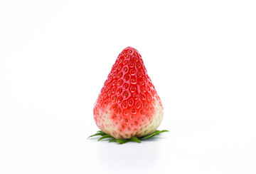 草莓