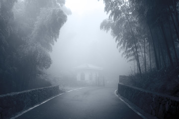 浓雾中的竹间上山道