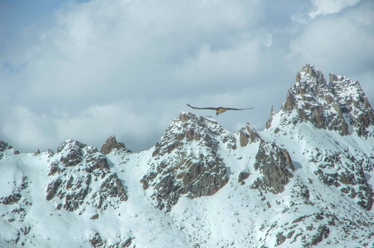 雀儿山