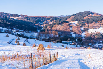 松岭雪村