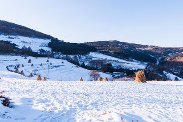 松岭雪村