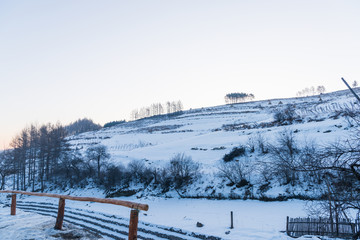 松岭雪村