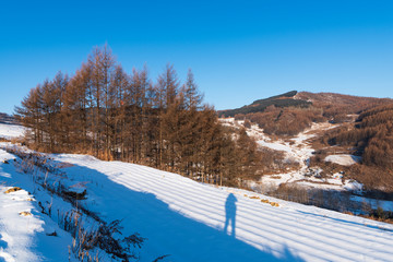 松岭雪村