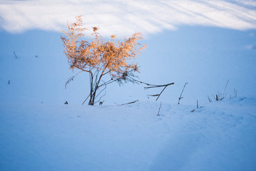 松岭雪村