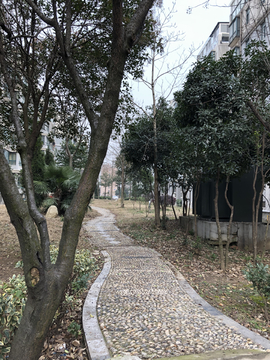 鹅卵石道路
