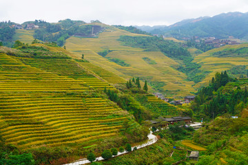 山寨梯田