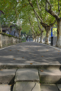 西华师范大学