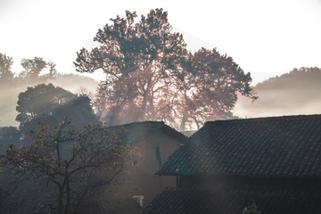晨雾缭绕全景图