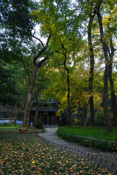 天童禅寺