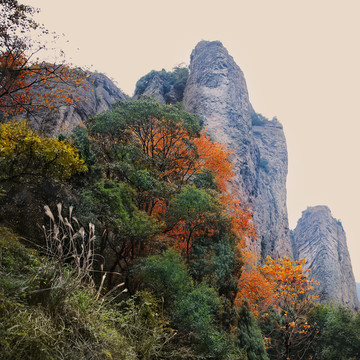 雁荡山风光