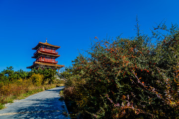 泰山环山路塔楼