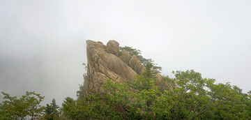 岩石山峰和青松树全景图俯拍