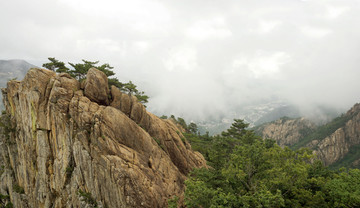 岩石山峰和青松树全景图俯拍