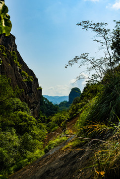 风景画