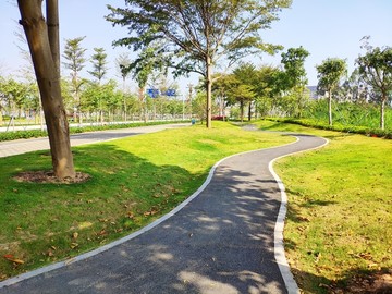 绿荫小道