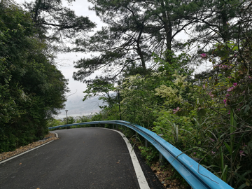 森林公园