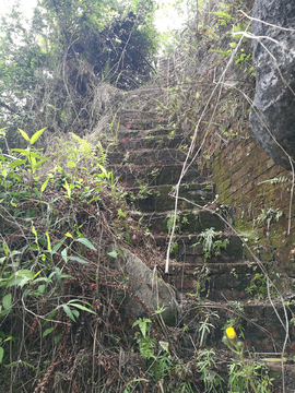 森林公园