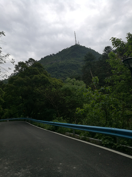 森林公园