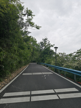森林