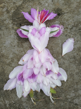 花人