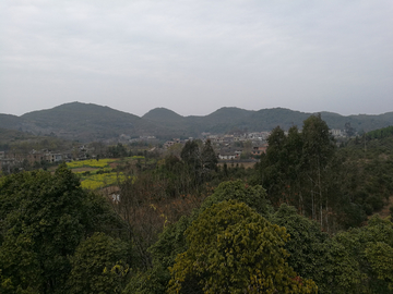 高山