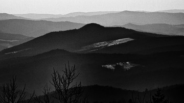 山