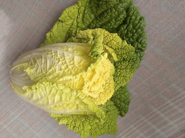 鲜嫩菜心素材