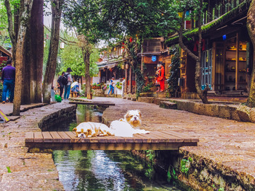 大研古城