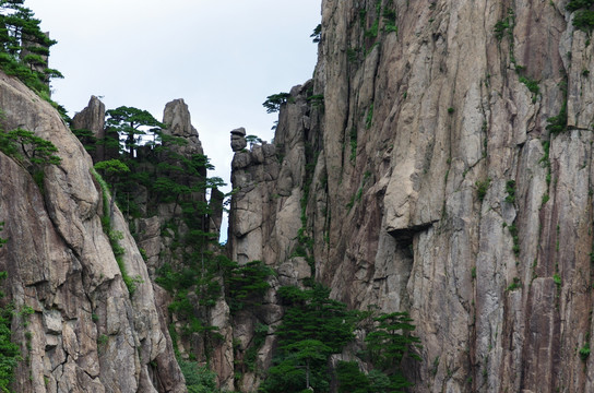 仙人采药峰