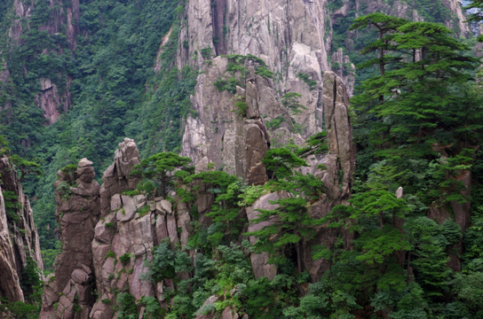 仙人采药峰