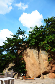 千山龙泉寺华藏世界广场山峰松树