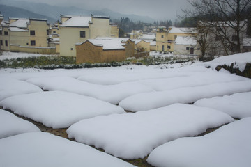 雪村