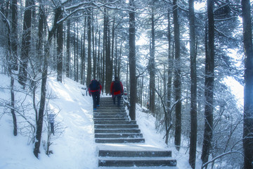 林海雪原