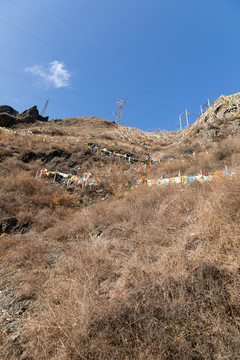 甘堡藏寨的山坡