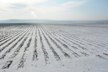 冰雪田园