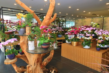 花店