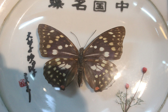 蝴蝶餐盘