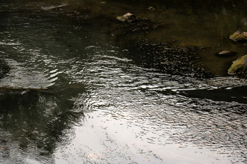 水纹
