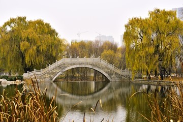 深秋湖泊池塘景色