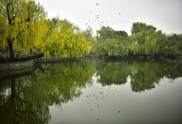 金秋雨中湖泊倒影