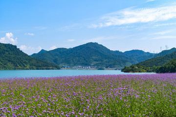 千岛湖美丽的山水风光