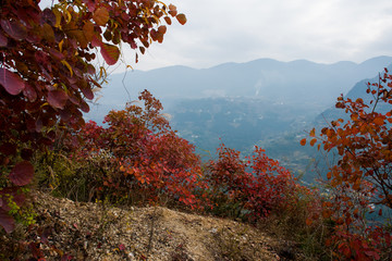 巫峡风光巫山红叶