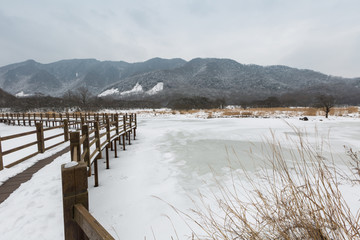 大九湖