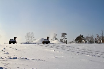 公园白雪