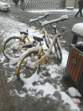 雨雪中的小黄车