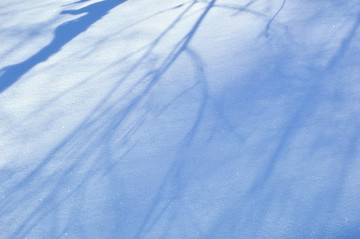白雪树影