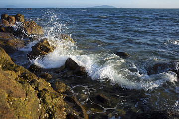 浪花