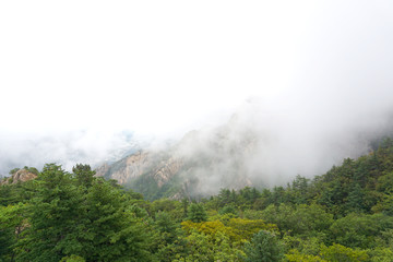 韩国雪岳山植被和云雾
